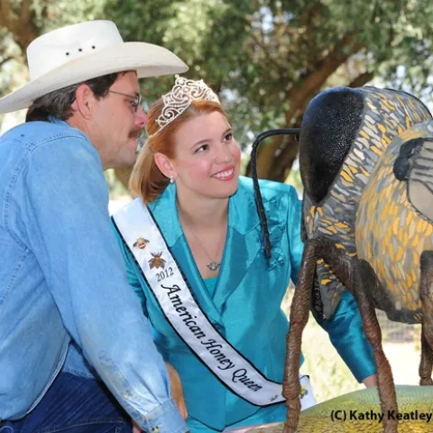 Beekeeper Brian Fishback shows Alyssa Fine the bee sculpture in the Haagen-Dazs Honey Bee Haven at UC Davis. (Photo by Kathy Keatley Garvey)