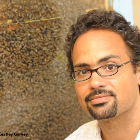 Bee scientist Brian Johnson of the UC Davis Department of Entomology in front of an observation hive. (Photo by Kathy Keatley Garvey)