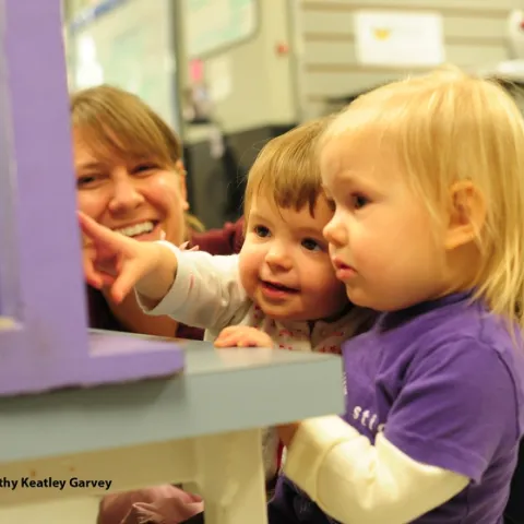 Leia Matern (far left) shows Vivienne Statham (center) and Tilly Matern the honey bee observation hive. (Photo by Kathy Keatley Garvey)