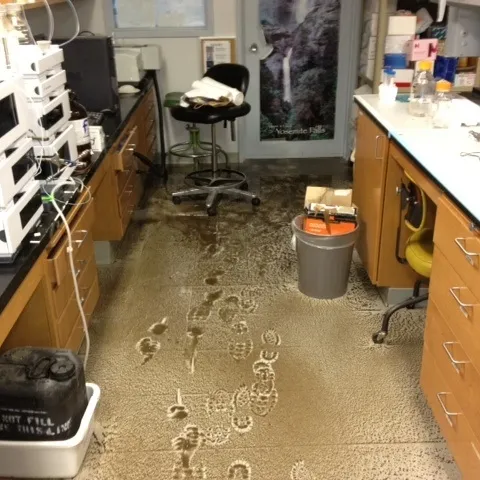 Bruce Hammock lab: a victim of the rainstorm. (Photo by Bruce Hammock)