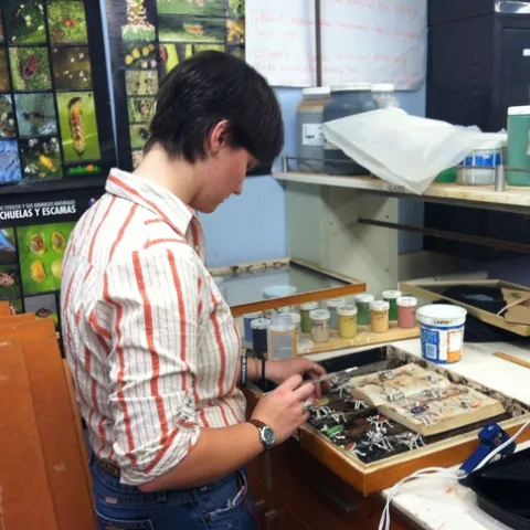 Entomology student Whitney Krupp at work on her display for the show, "Organism." (Photo courtesy of Anna Davidson)