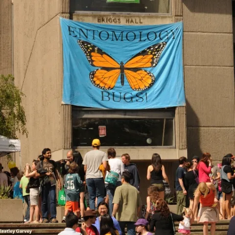 Briggs Hall is a popular place to be on UC Davis Picnic Day. (Photo by Kathy Keatley Garvey)
