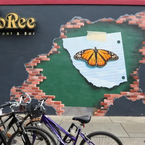 The mural from a distance. (Photo by Kathy Keatley Garvey)