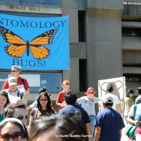 Briggs Hall beckons with bugs on UC Davis Picnic Day. (Photo by Kathy Keatley Garvey