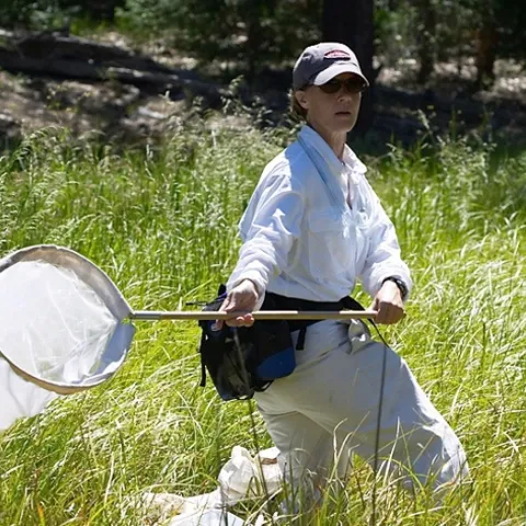 Fran Keller chasing dragonflies. (Photo by Alex Wild)