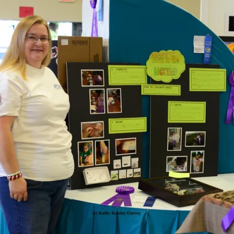 Sharon Payne, superintendent of the Today's Youth Building at the Dixon May Fair, stands by a 6-year-old's bug exhibit, which won a blue ribbon and best of show. (Photo by Kathy Keatley Garvey)