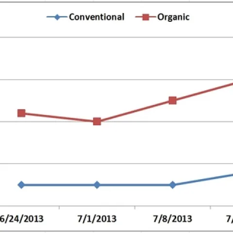 Graphs-1-3 instar lygus