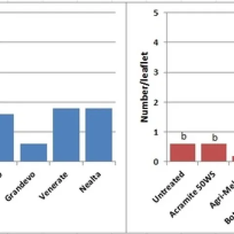 2013 Predatory mites-I-7