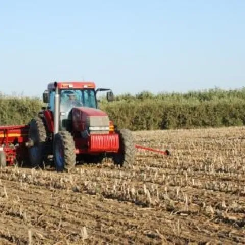 Greater efficiencies and brighter economics in California agriculture could be achieved by employing conservation principles.