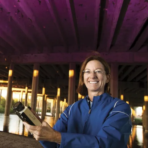 Rachael Long beneath the Yolo Causeway with a bat detector. Notice the bats in the photo. (Photo courtesy of the California Farm Bureau Federation)