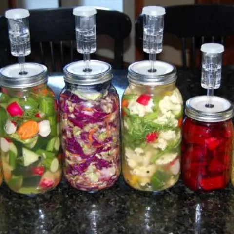 fermenting