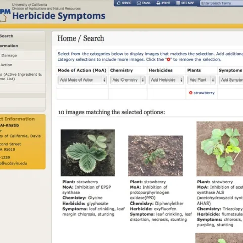 Herbicide damage website