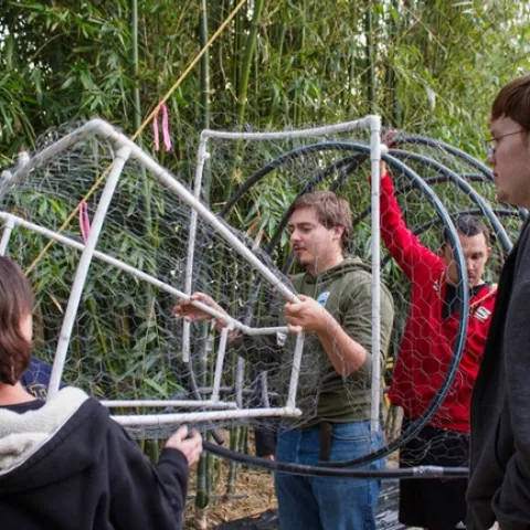Figuring out the measurements are secretary Christine Melvin, member Hunter Bolt, president Marko Marrero, and member Sam Shook. (Photo by Alex Nguyen)