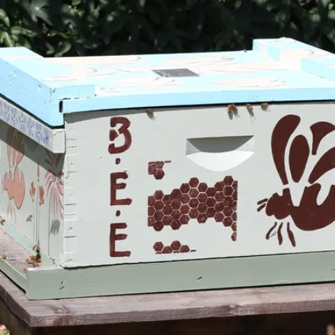 A bee colony is one of the features in the Häagen-Dazs Honey Bee Haven on Bee Biology Road, west of the UC Davis campus. (Photo by Kathy Keatley Garvey)