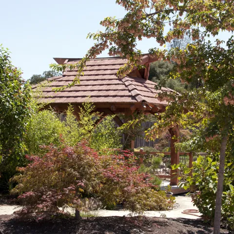 Japanese Garden