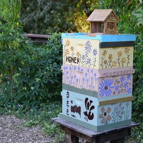 A viable bee hive is a new addition in the bee garden, which was planted in the fall of 2009.(Photo by Kathy Keatley Garvey)