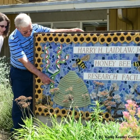 Norm Gary, UC Davis emeritus professor of entomology, with Barbara Allen-Diaz, then vice president of the UC Agriculture and Natural Resources. (Photo by Kathy Keatley Garvey)