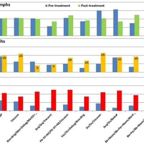 Lygus nymphs and adults