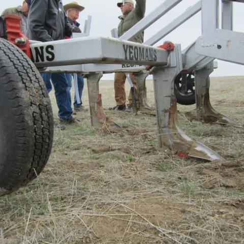 ShanksWithDepthLines