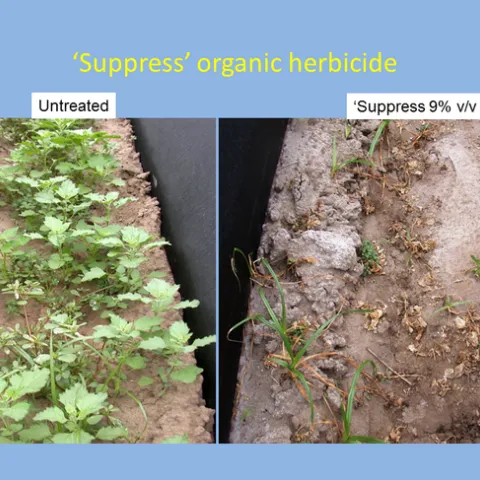 herbicides