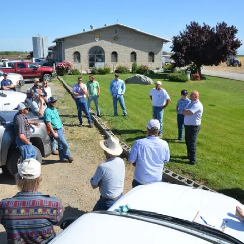 Strip Field Day at Marty Poldevarrt MTSJ Dairy, Orland, CA