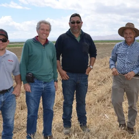Spanish tomato researchers tour NRI Project field in Five Points