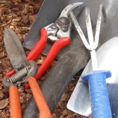 Assorted tools, photo by Allen Buchinski