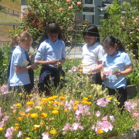 Children in flower garden