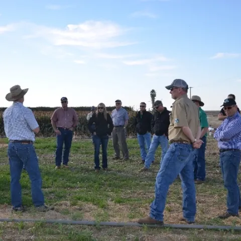 Dan Munk (light blue shirt and wide-brimmed hat at left) hosts Steve Vasquez’s TKI Crop Vitality at the long-term NRI Project study site in Five Points, CA