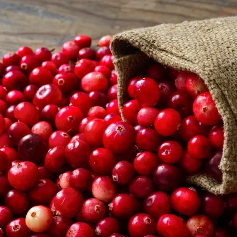 cranberries