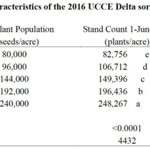 Table 1. Sorghum Seeding Rate Trial