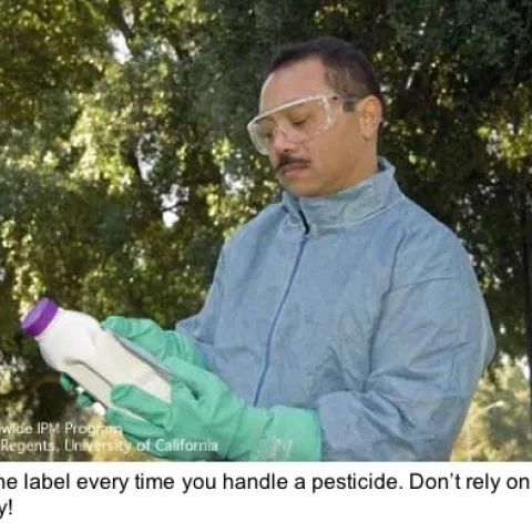 Pestcide safety