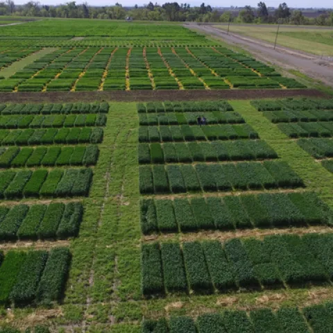 UC Field Day, May 11th 2017