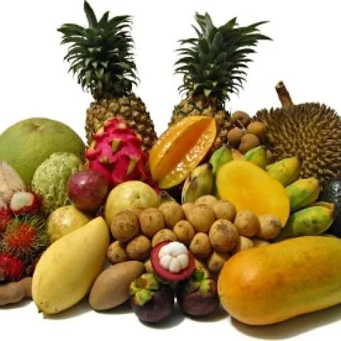 tropical-fruit