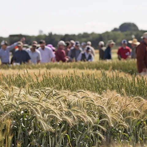 2017 FieldDay (photo credit: E. Kilmartin)