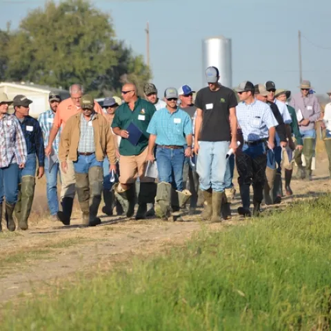 Participants head to the field to view plots (2016). Photo by Dana Dickey