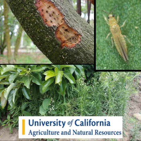 Pest Managment Meeting