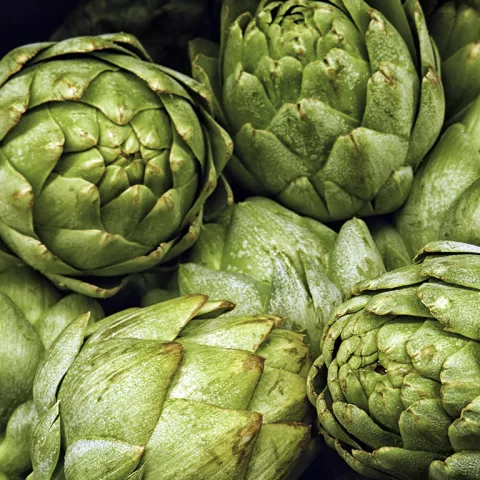 Fresh picked artichokes