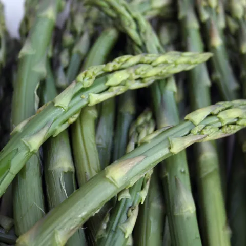 Asparagus, from UC ANR repository, no attribution required