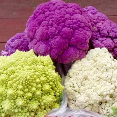 Cauliflowers Graffiti (purple), Romanesco (green), and Snowball (white)