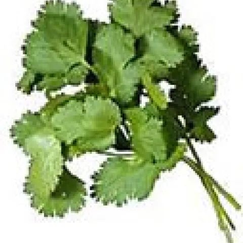 Photo: University of California