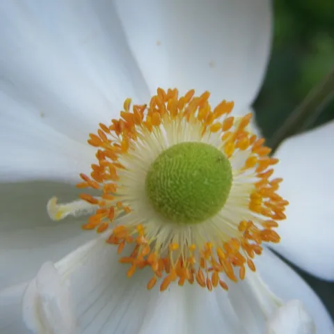 photos by Launa Herrmann