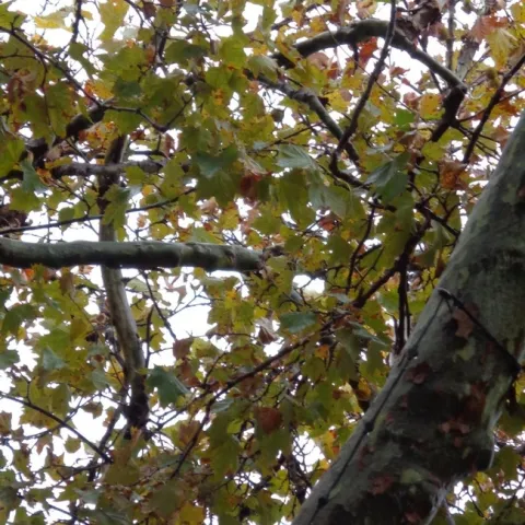 photos by Michelle Davis