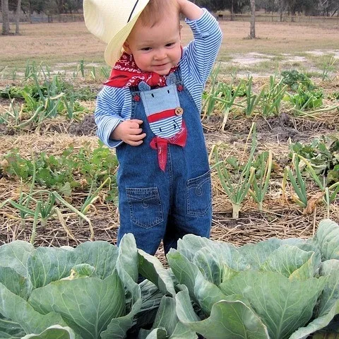 Farmers Market Fun with Kids