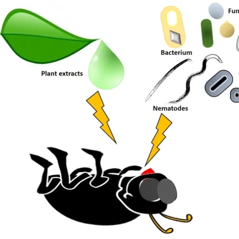 Biopesticides