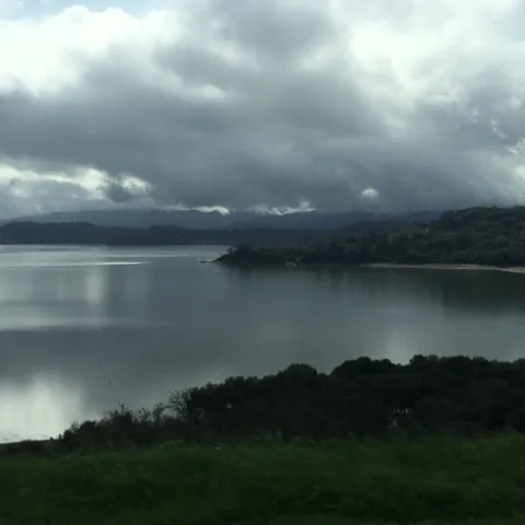 Clear Lake, CA. Photo courtesy of Deb Driskill