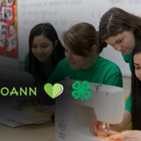 300x250-Joann-Sewing--Logo