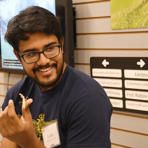 UC Davis entomology major Lohitashwa “Lohit” Garikipati showed his praying mantises at a Bohart Museum open house last September. He will be showing his collection on Saturday, Feb. 17 during the UC Davis Biodiversity Museum Day. (Photo by Kathy Keatley Garvey)