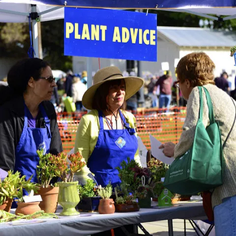 Garden advice table at Master Gardener event