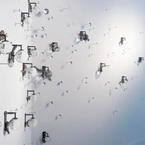 One of the art works on display depicts lichen and is by Allison Leigh Holt, an Oakland-based cross-disciplinary artist who works at the “intersection of sculpture, video, installation and performance.”